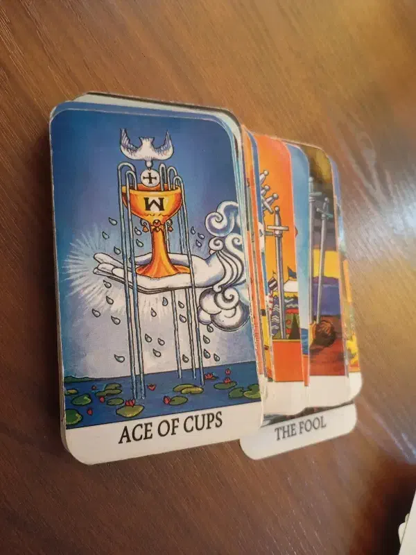 فال|کلکسیون و سرگرمی|پرند, فاز ۴|دیوار