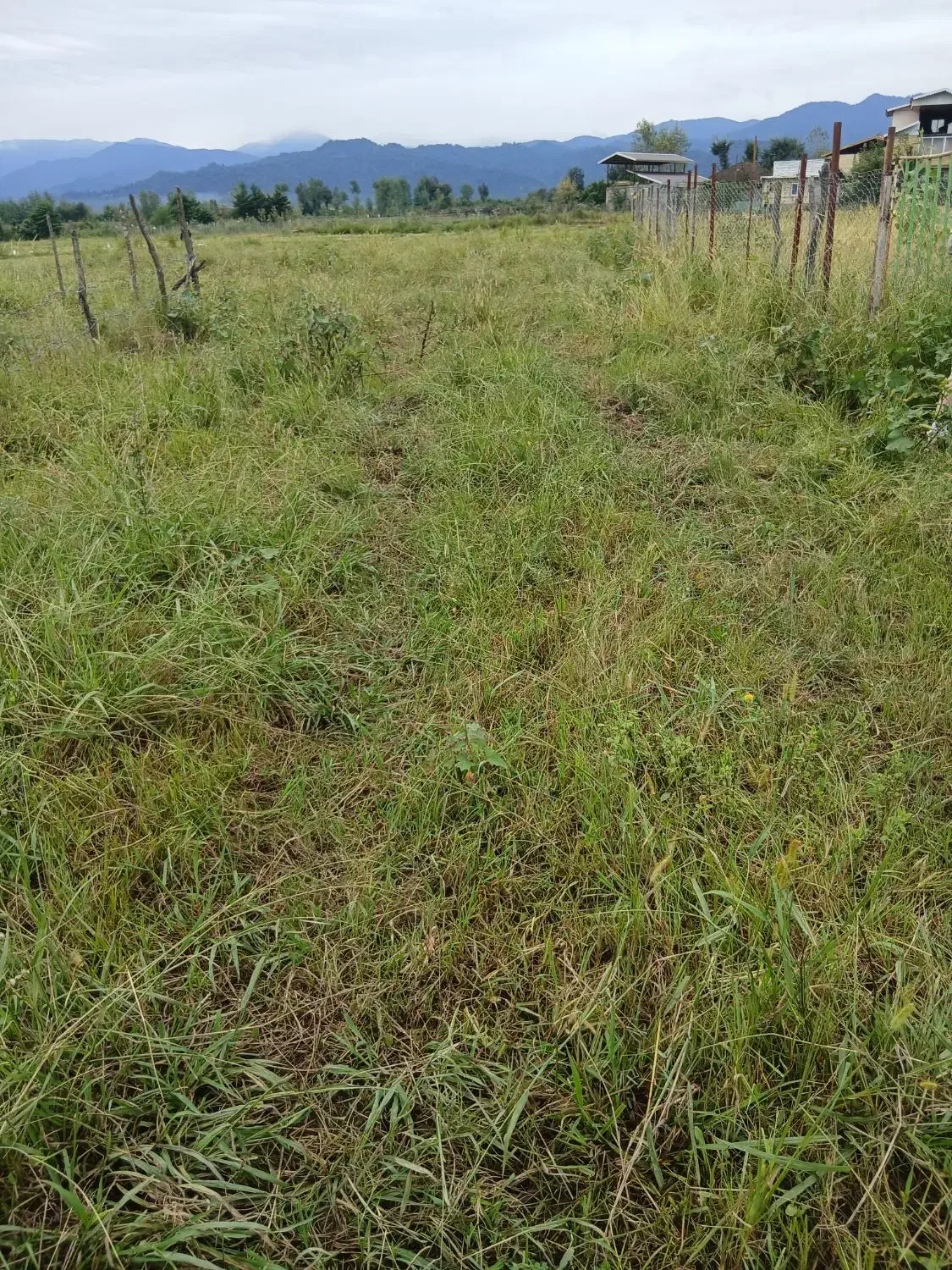 مبل|مبلمان خانگی و میز عسلی|اسالم, |دیوار