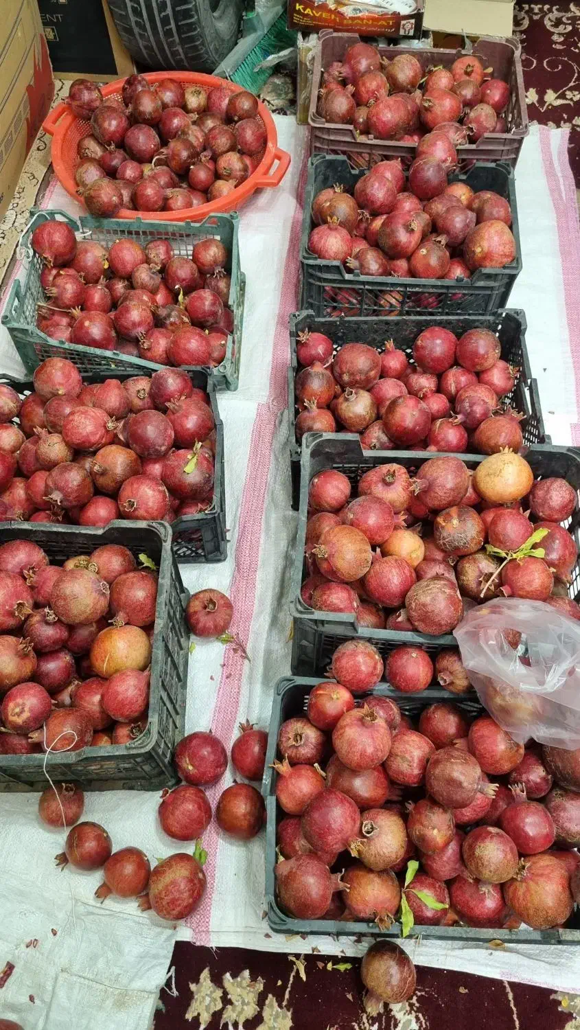 انار|خوردنی و آشامیدنی|خوسف, |دیوار