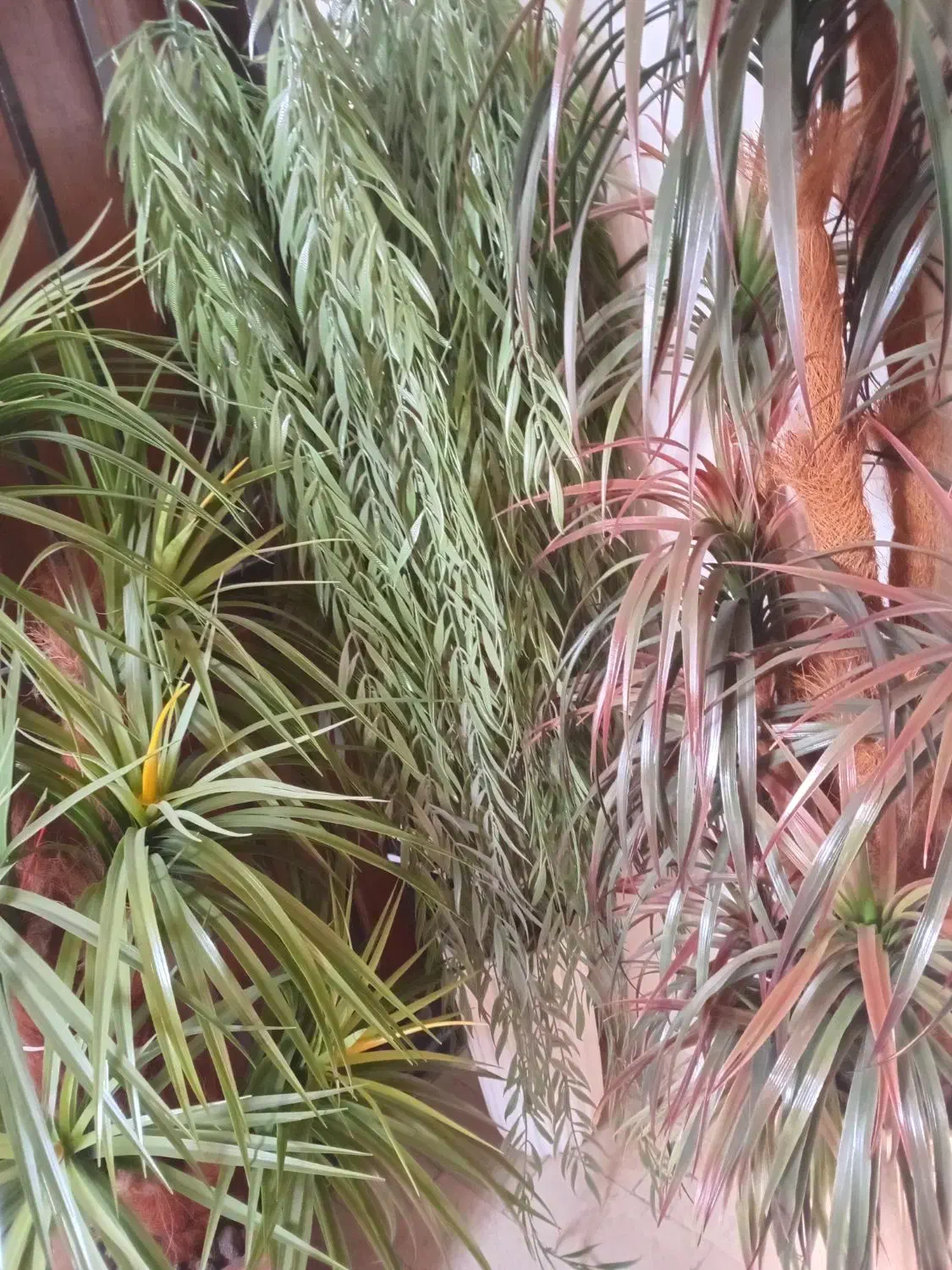 درختچه مصنوعی|گل مصنوعی|تهران, خواجه نظام الملک|دیوار