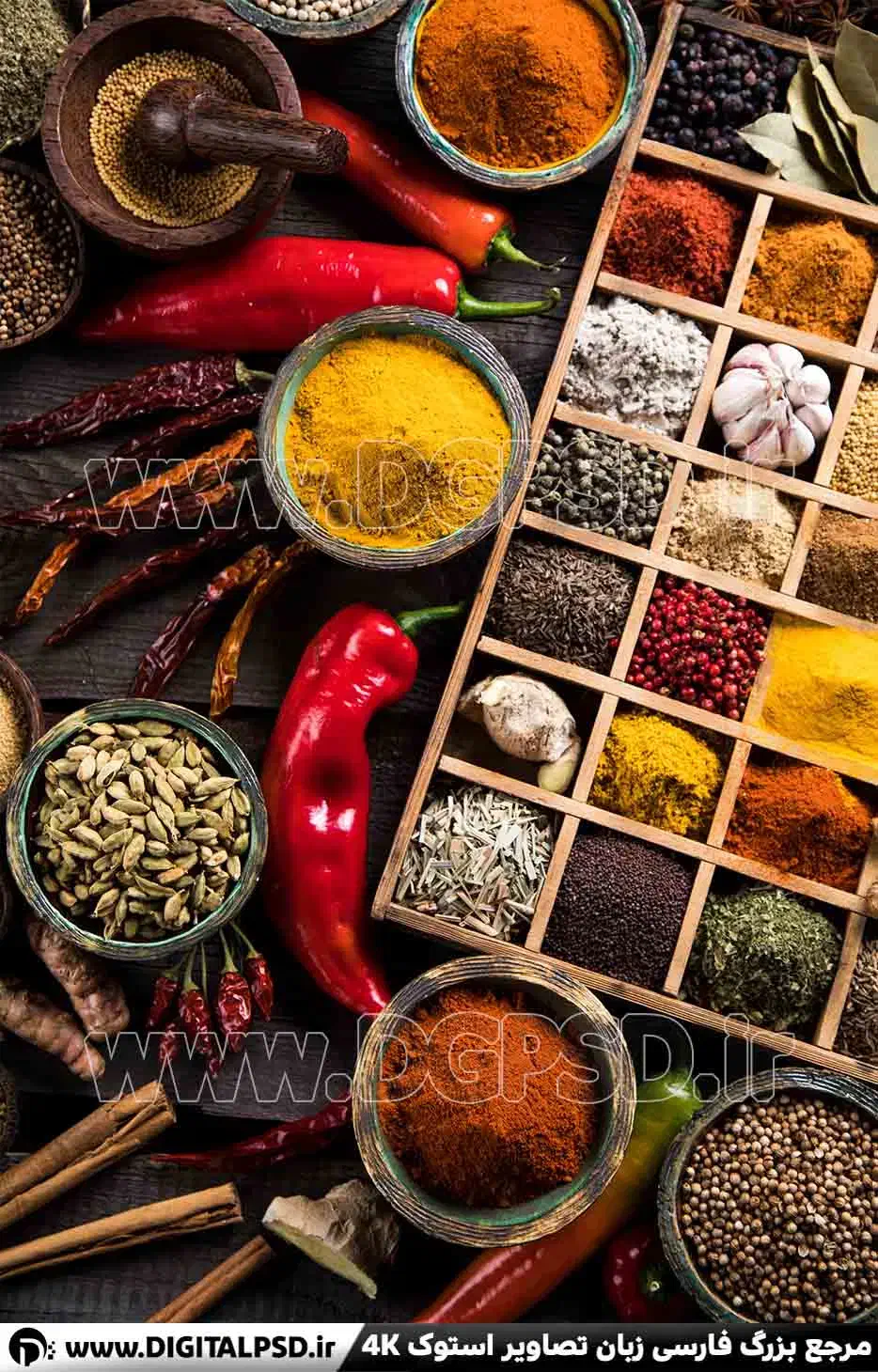 استخدام نیروی خانم|استخدام بازاریابی و فروش|شاهینشهر, فردوسی|دیوار