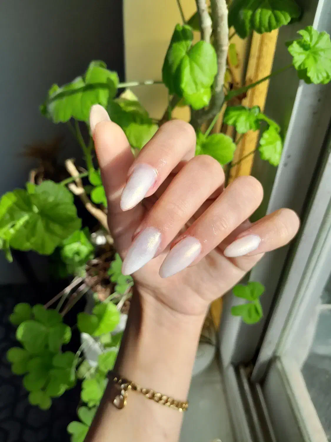 کاشت ناخن رایگان|خدمات آرایشگری و زیبایی|لشت نشا, |دیوار