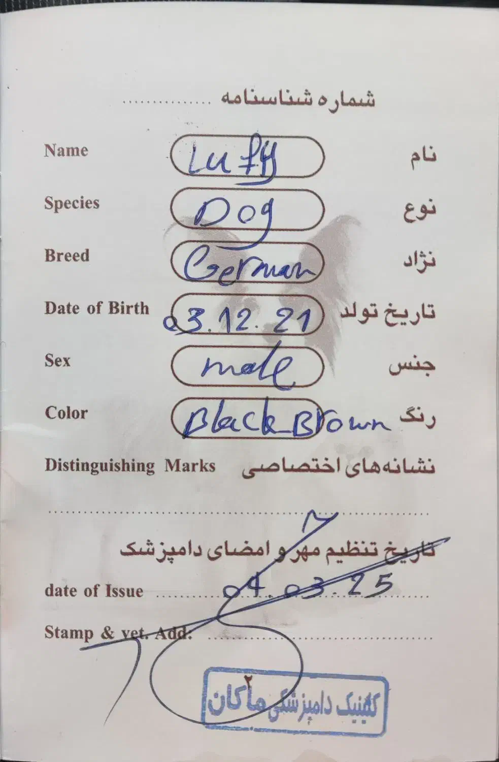 سگ ژرمن|سگ|کرج, باغستان|دیوار