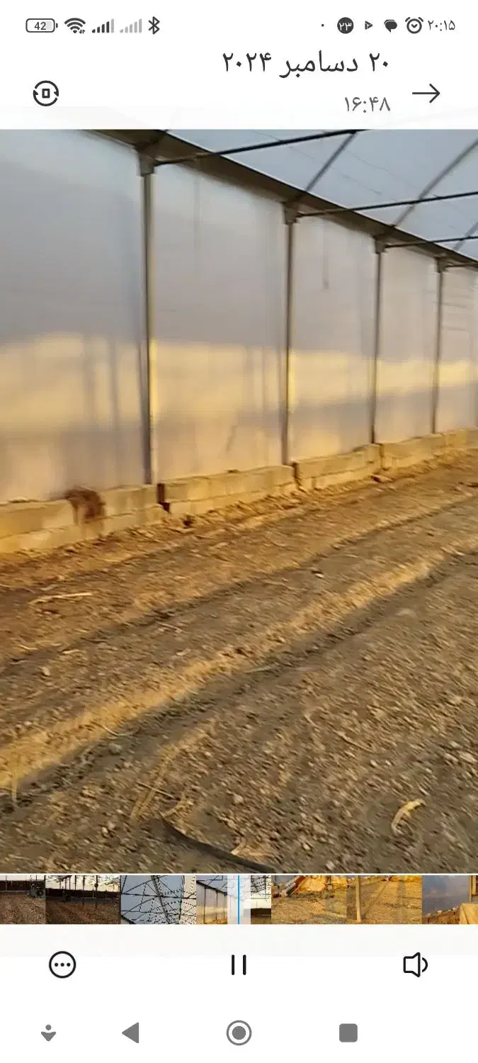 اجاره گلخانه ۱۰۸۰ متری|اجارهٔ دفتر صنعتی، کشاورزی، تجاری|شوشتر, |دیوار