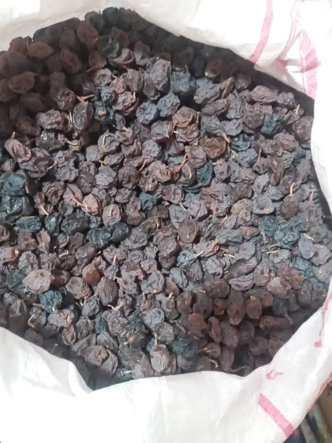 کشمش سیاه دانه درشت|خوردنی و آشامیدنی|شیراز, جوادیه|دیوار