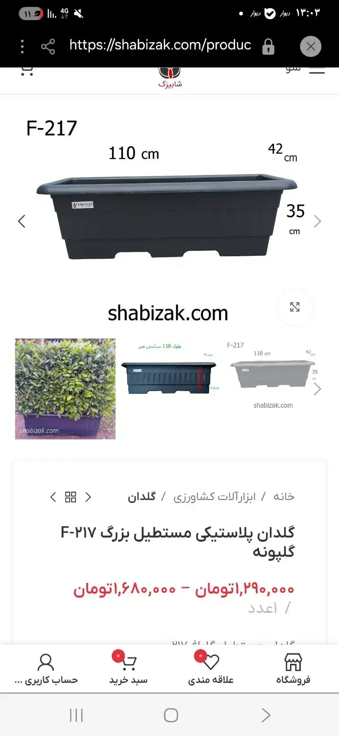 گلدان پلاستیک|گل و گیاه طبیعی|هشتگرد, هشتگرد قدیم|دیوار