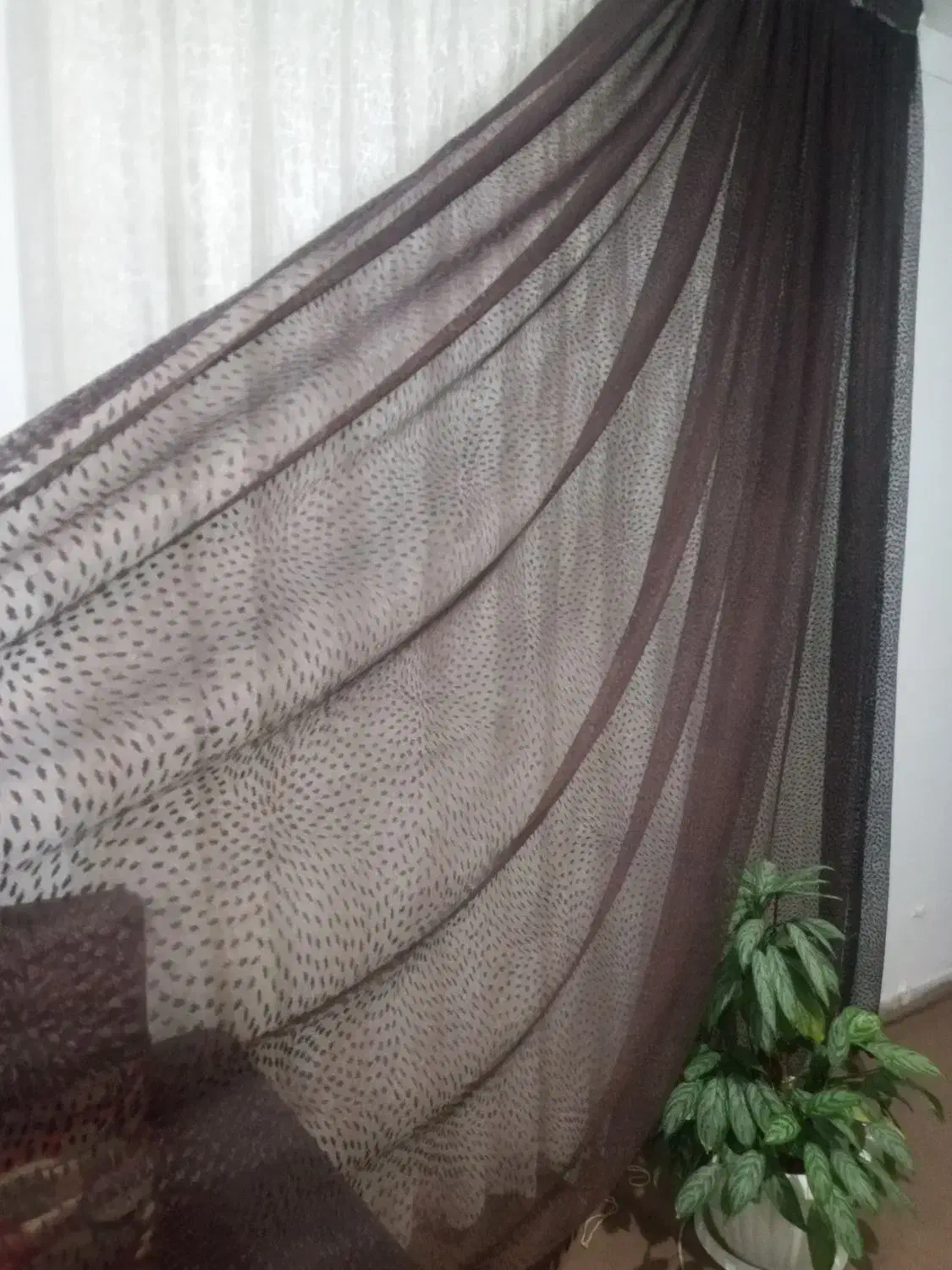 پرده سالن|پرده، رانر، رومیزی|کرمانشاه, |دیوار