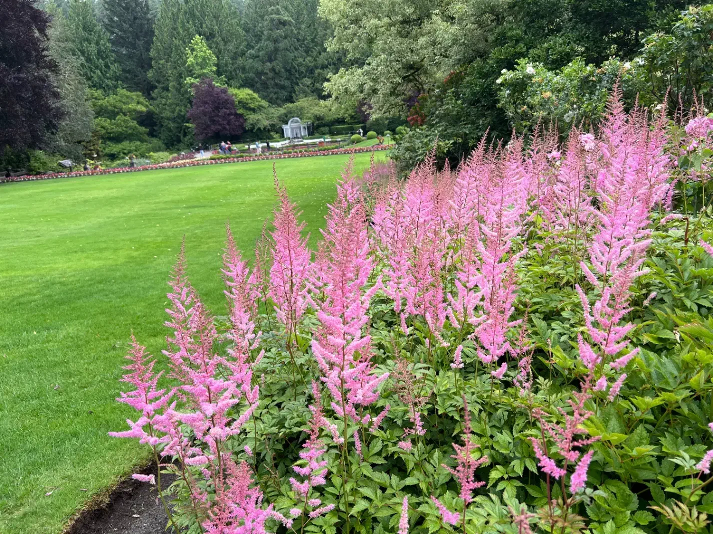 استخدام نیرو برای باغداری تمام وقت|استخدام سرایداری و نظافت|نوشهر, |دیوار