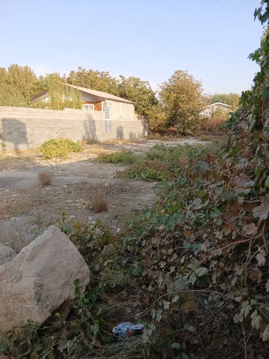 ۵۰۰مترباغچه سهیلیه سنقرآباد خیابان بنفشه|فروش زمین و ملک کلنگی|رامجین, |دیوار