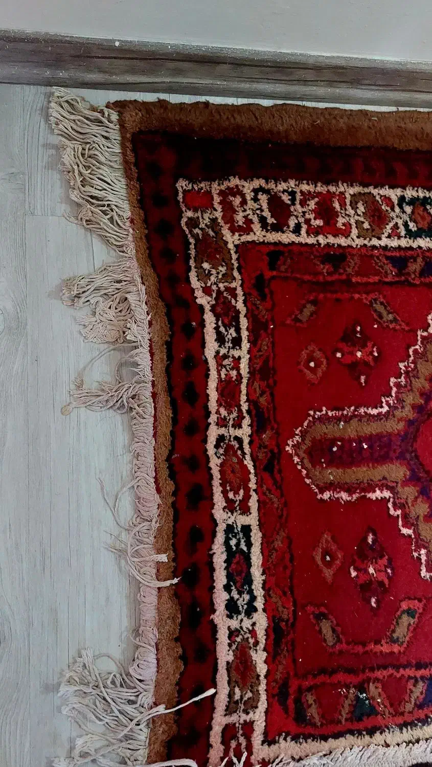 فرش کناره دستبافت سالم|فرش|تبریز, |دیوار