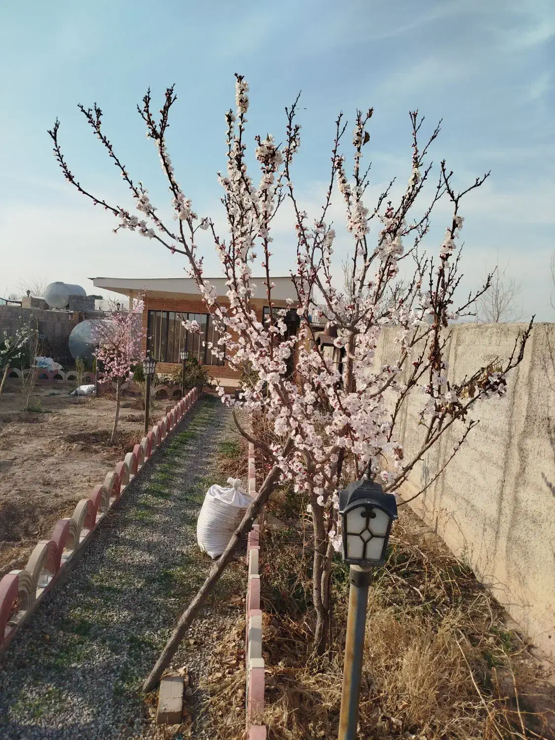 فروش فوری  فوری باغچه در گلزار|فروش خانه و ویلا|پاکدشت, پاکدشت (مامازند)|دیوار