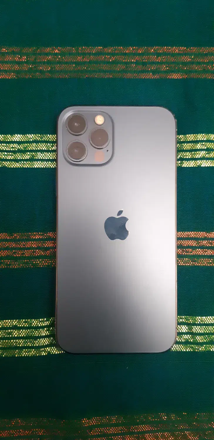 آیفون ۱۲ پرو|موبایل|رشت, کاکتوس|دیوار