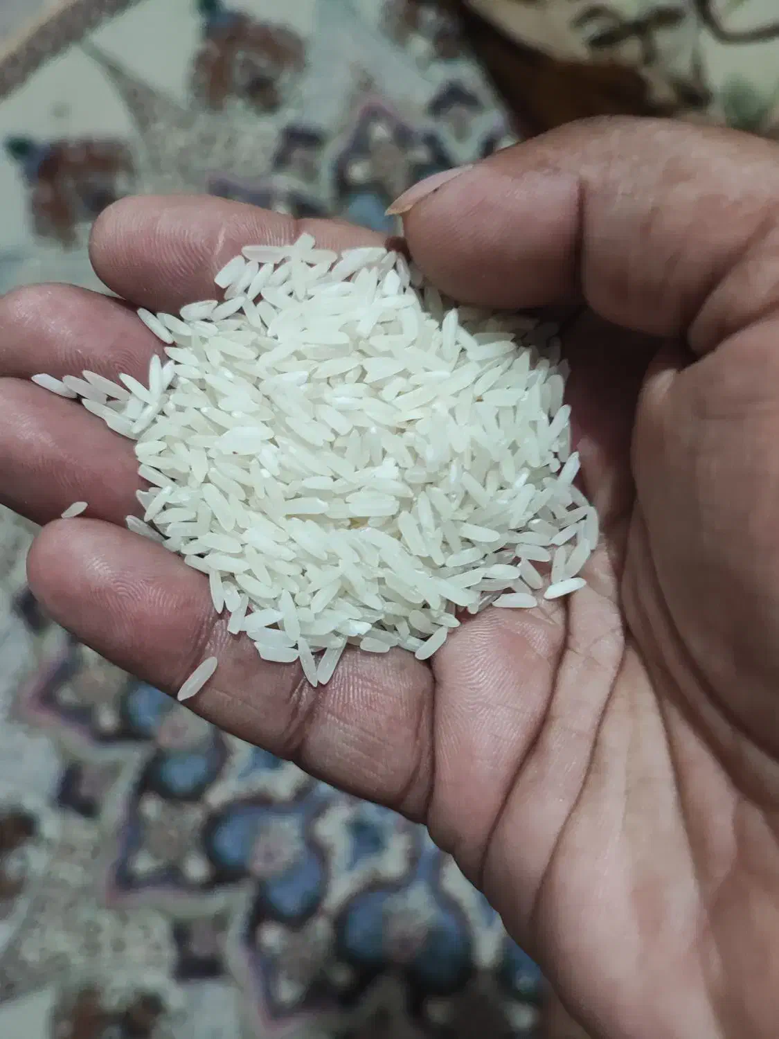 برنج تایلندی درجه یک|خوردنی و آشامیدنی|اهواز, کمپلو شمالی|دیوار