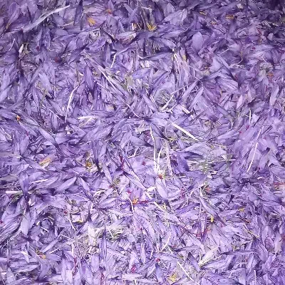 ریشه ی زعفران|خوردنی و آشامیدنی|مشهد, کوی المهدی|دیوار