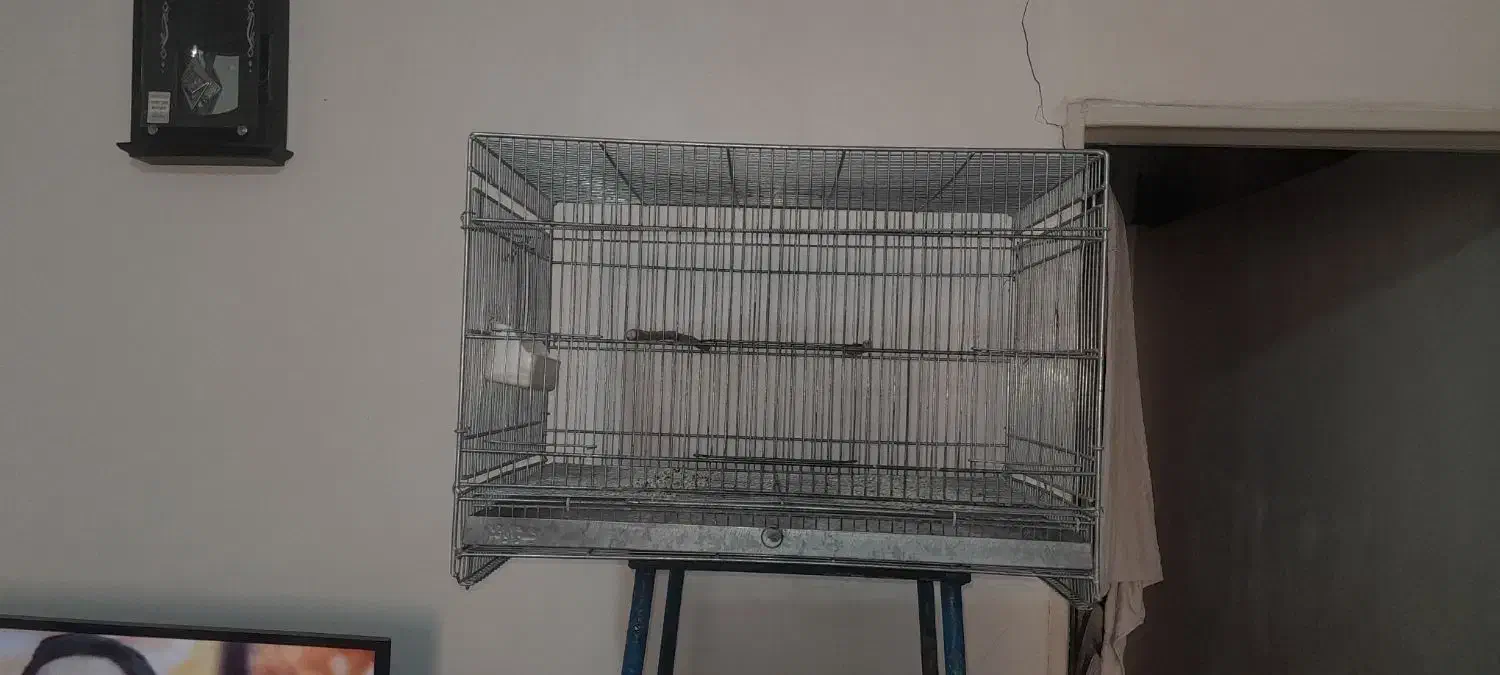 قفس پرنده|لوازم جانبی حیوانات|نسیم‌شهر, |دیوار