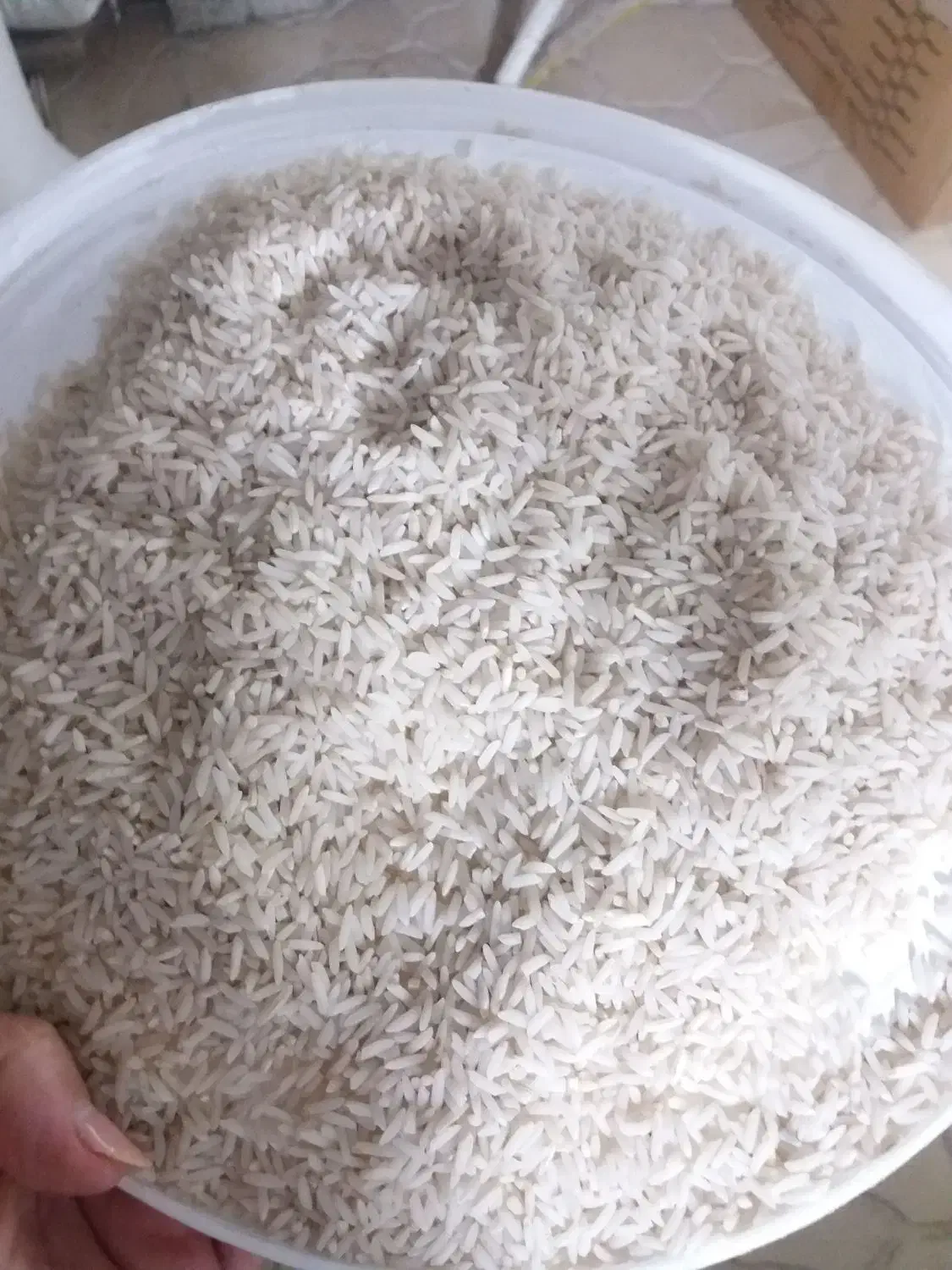 ۵۰ کیلو برنج هاشمی خالص از شالیزارهای ویرمونی|خوردنی و آشامیدنی|آستارا, |دیوار