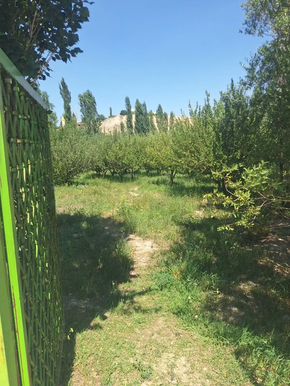 فروش باغ ویلا|فروش زمین و ملک کلنگی|فیروزکوه, |دیوار