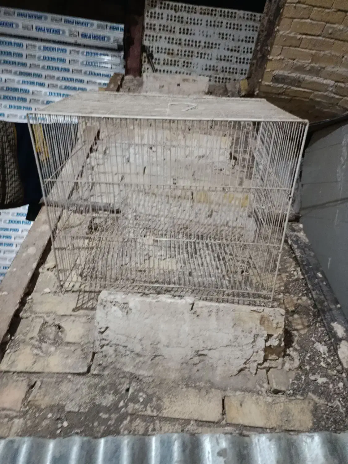 قفس پرنده|لوازم جانبی حیوانات|مشهد, پنجتن|دیوار