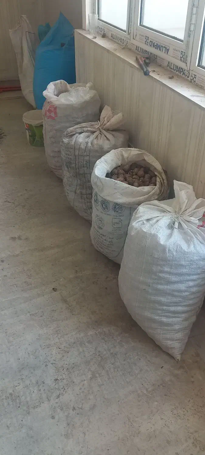 فروش گردو|خوردنی و آشامیدنی|مرند, |دیوار