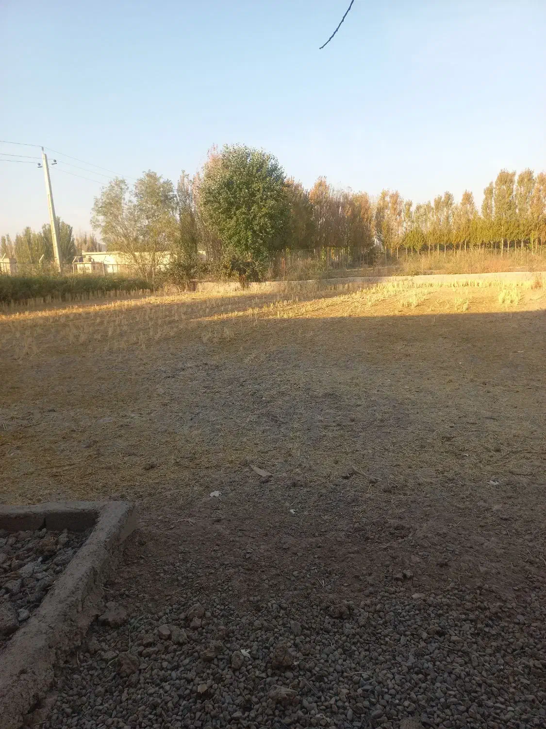 اجاره سالن|اجارهٔ دفتر صنعتی، کشاورزی، تجاری|میانه, |دیوار