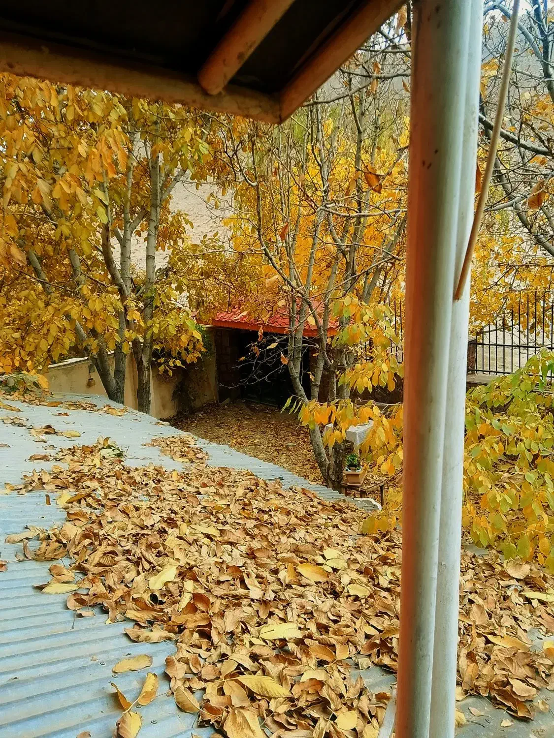 اجاره روزانه باغ ویلا نوستالژی چشمه اعلای دماوند|اجارهٔ کوتاه‌مدت ویلا و باغ|دماوند, دماوند|دیوار