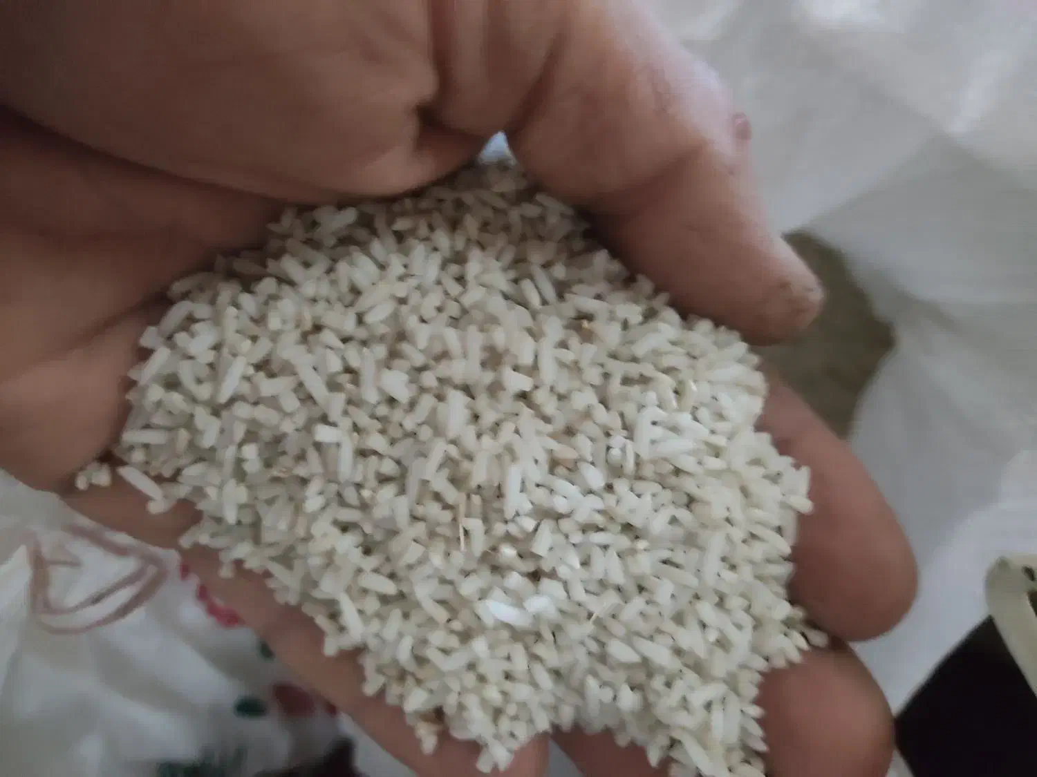 برنج لاشه طارم دمسیاه|خوردنی و آشامیدنی|کلاله, |دیوار