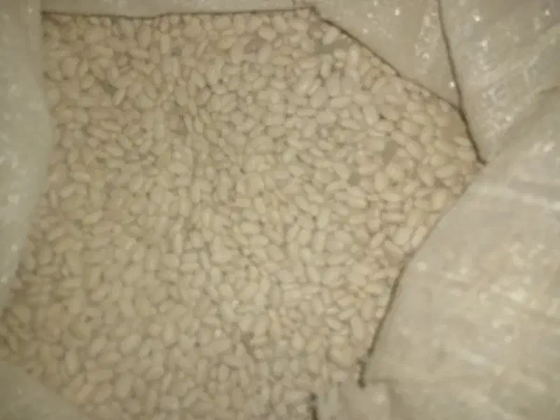 لوبیا سفید و قرمز|خوردنی و آشامیدنی|نوبران, |دیوار