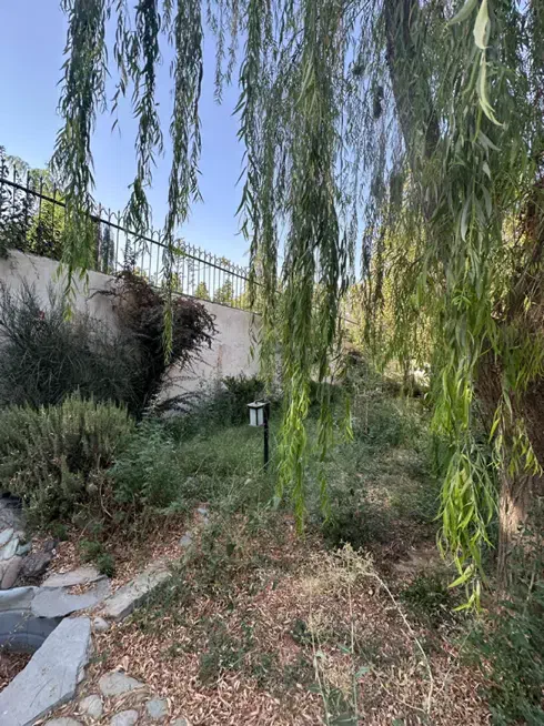 ۲۵۲۱متر زمین سرخاب کردان تهراندشت فقط یک هفته|فروش زمین و ملک کلنگی|کرج, عظیمیه|دیوار