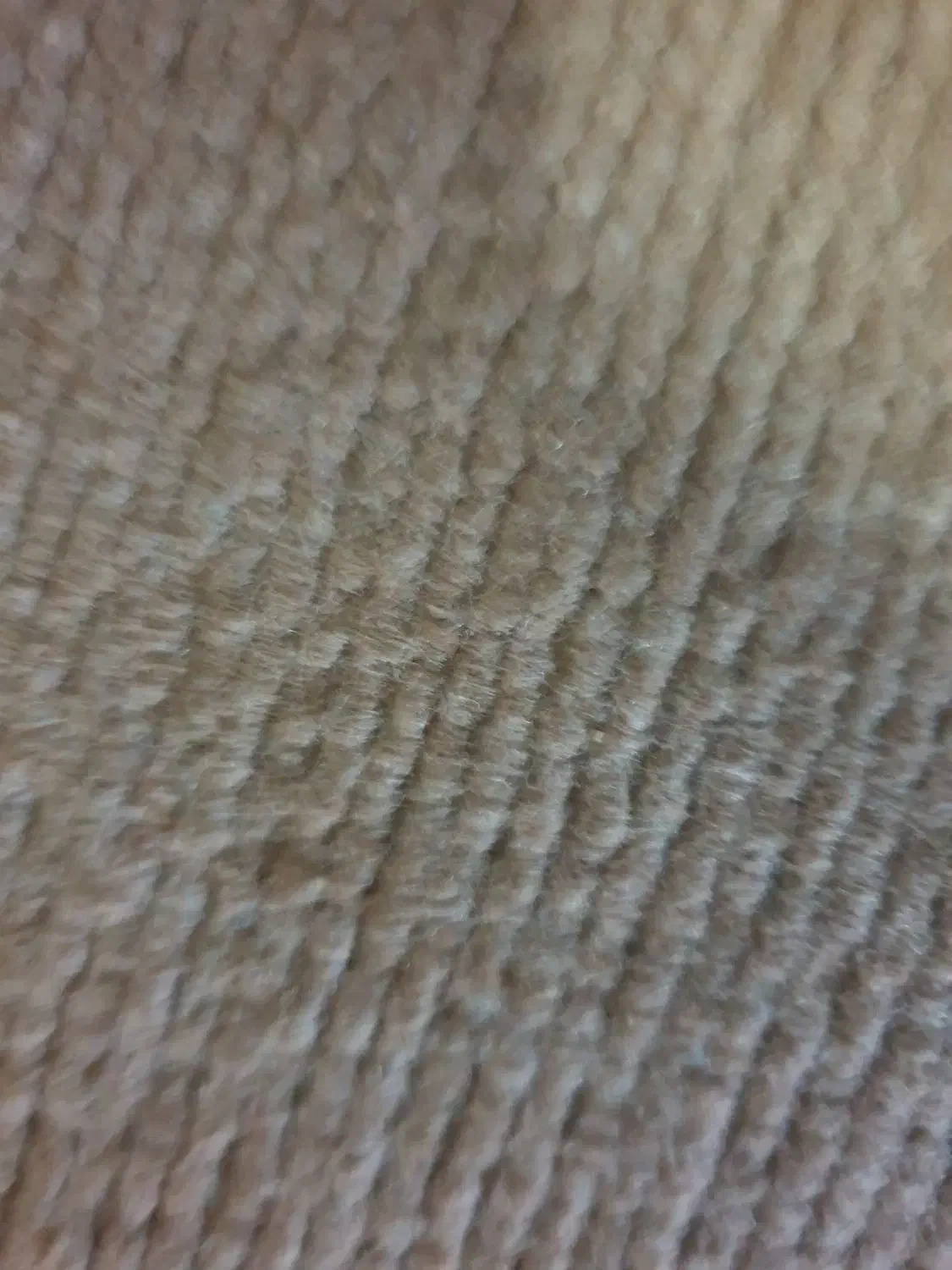 موکت دست دوم حدودا ۲۰ ..۲۵ متر مربع|موکت|گرگان, |دیوار