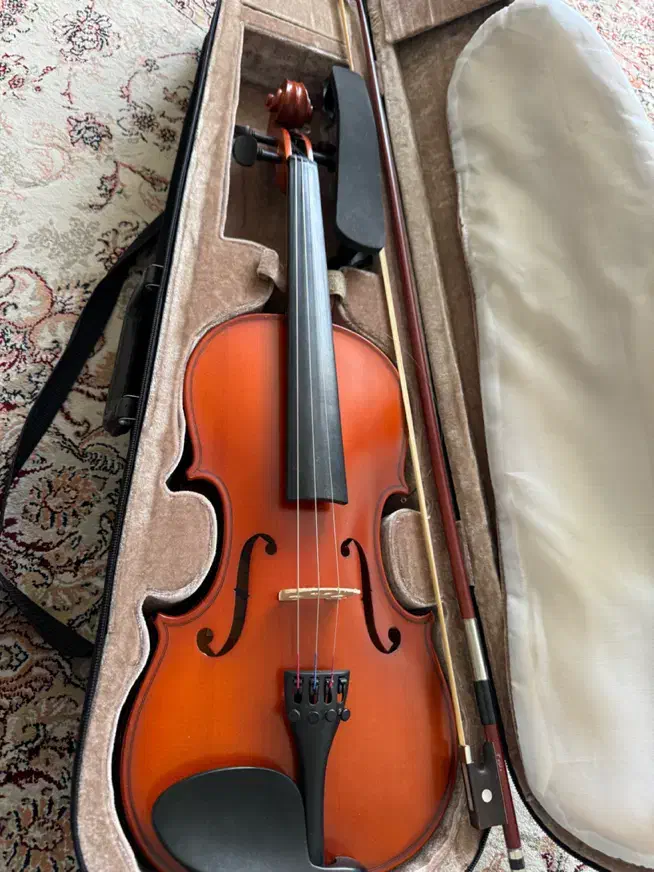 ویولون|ویولن|تبریز, |دیوار