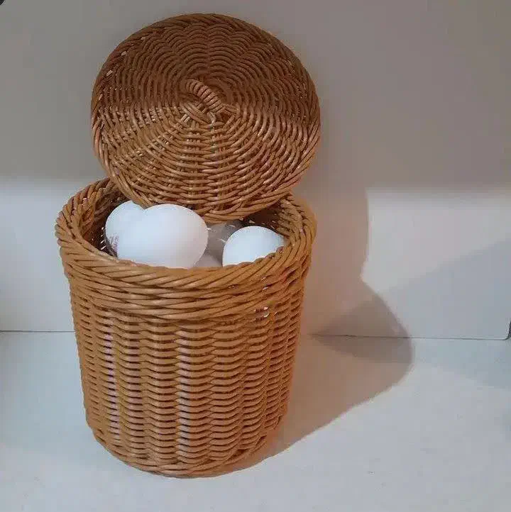 سبد جا تخم مرغی|ظروف نگهدارنده، پلاستیکی، یک‌بارمصرف|تاکستان, |دیوار