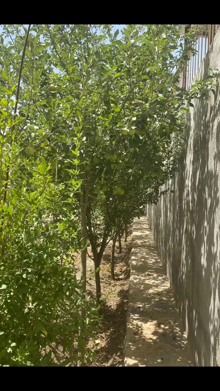 ویلای اماده جاده گوهردشت،  کاهو|فروش زمین و ملک کلنگی|گلمکان, |دیوار