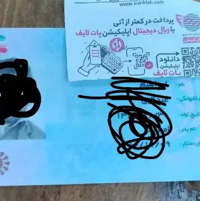 مدارکم گم شده|اشیا|شوشتر, |دیوار