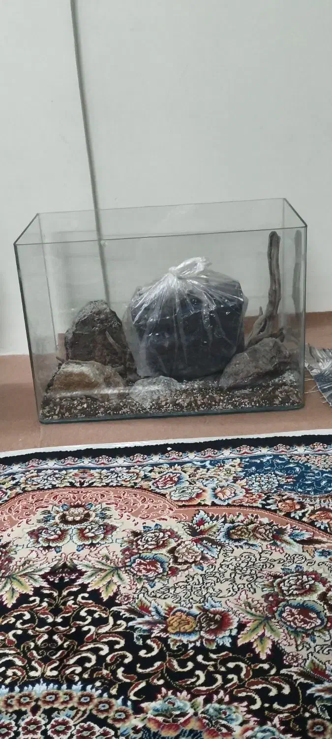 آکواریوم|ماهی|تهران, مسعودیه|دیوار