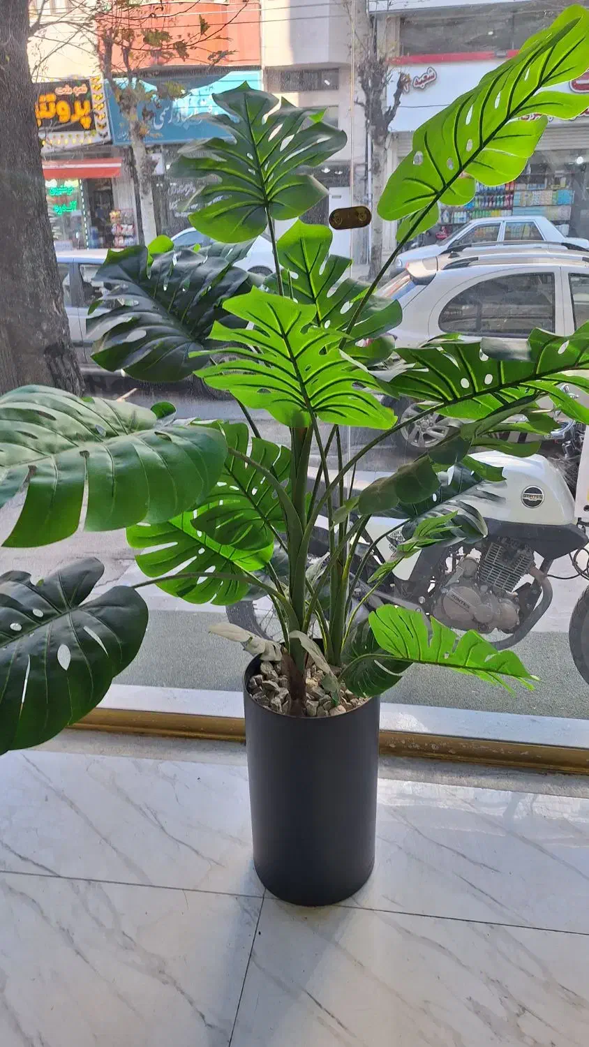 فروش گل تزئینی|گل مصنوعی|آستارا, |دیوار