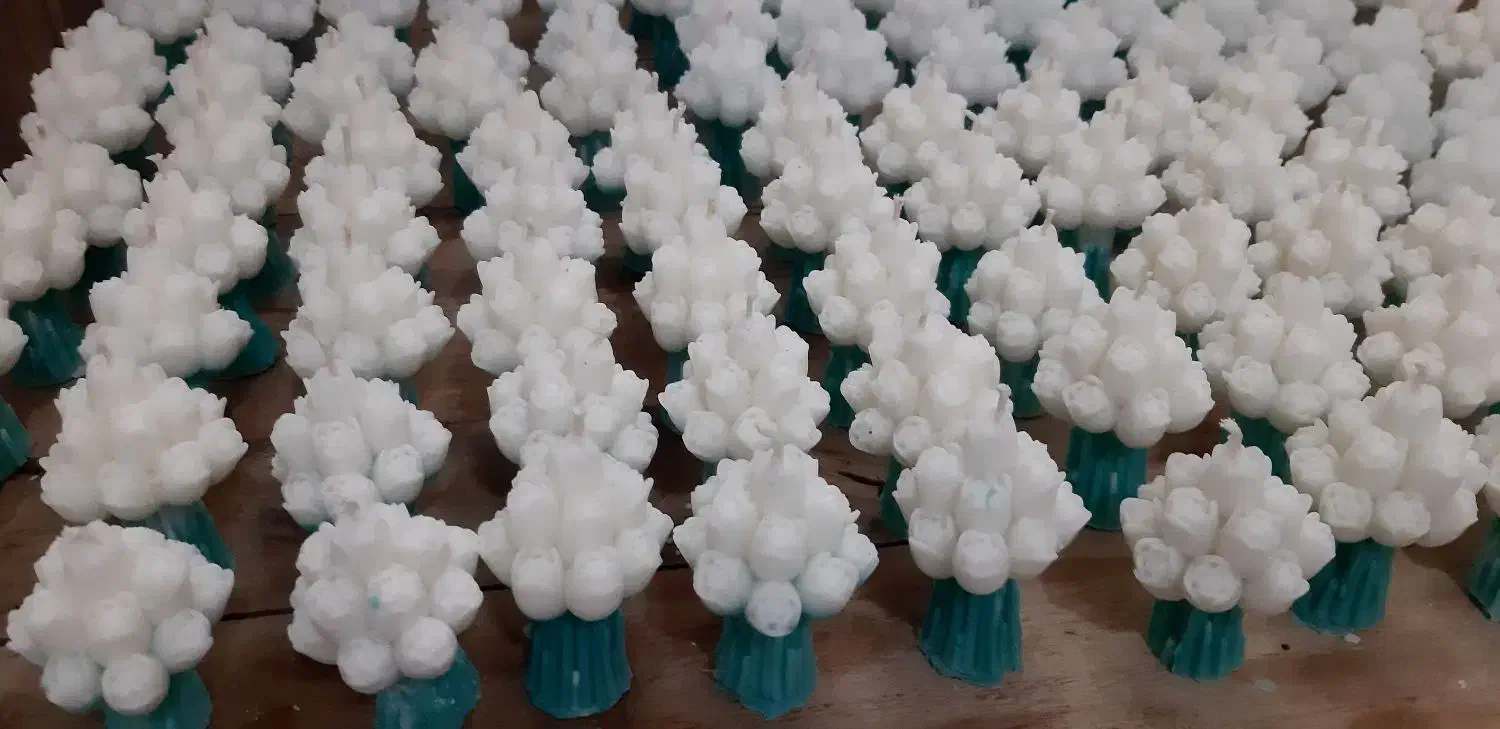 گیفت دسته گل لاله|صنایع دستی و سایر لوازم تزئینی|نی‌ریز, |دیوار