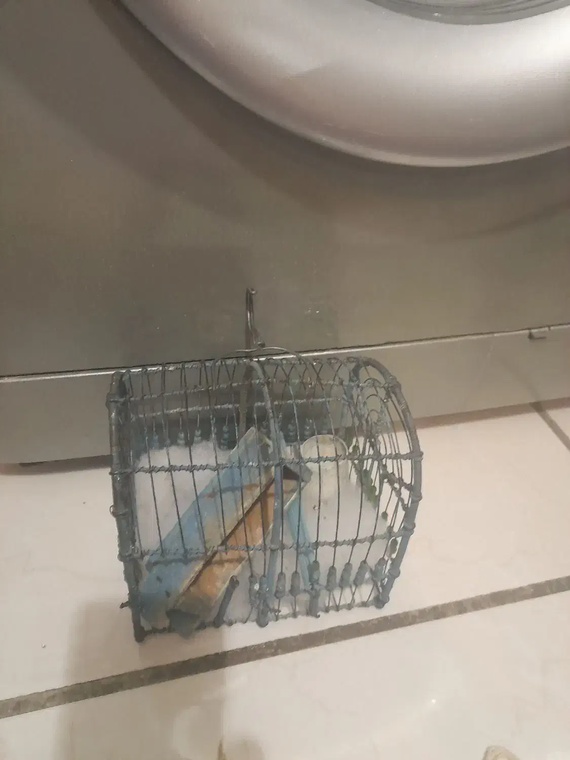 قفس فنج|لوازم جانبی حیوانات|کرج, کوی مهر|دیوار