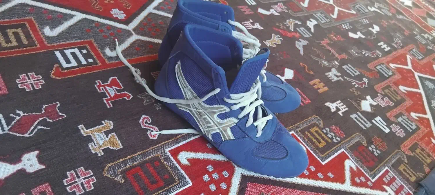 کتونی|کیف، کفش، کمربند|الشتر, |دیوار