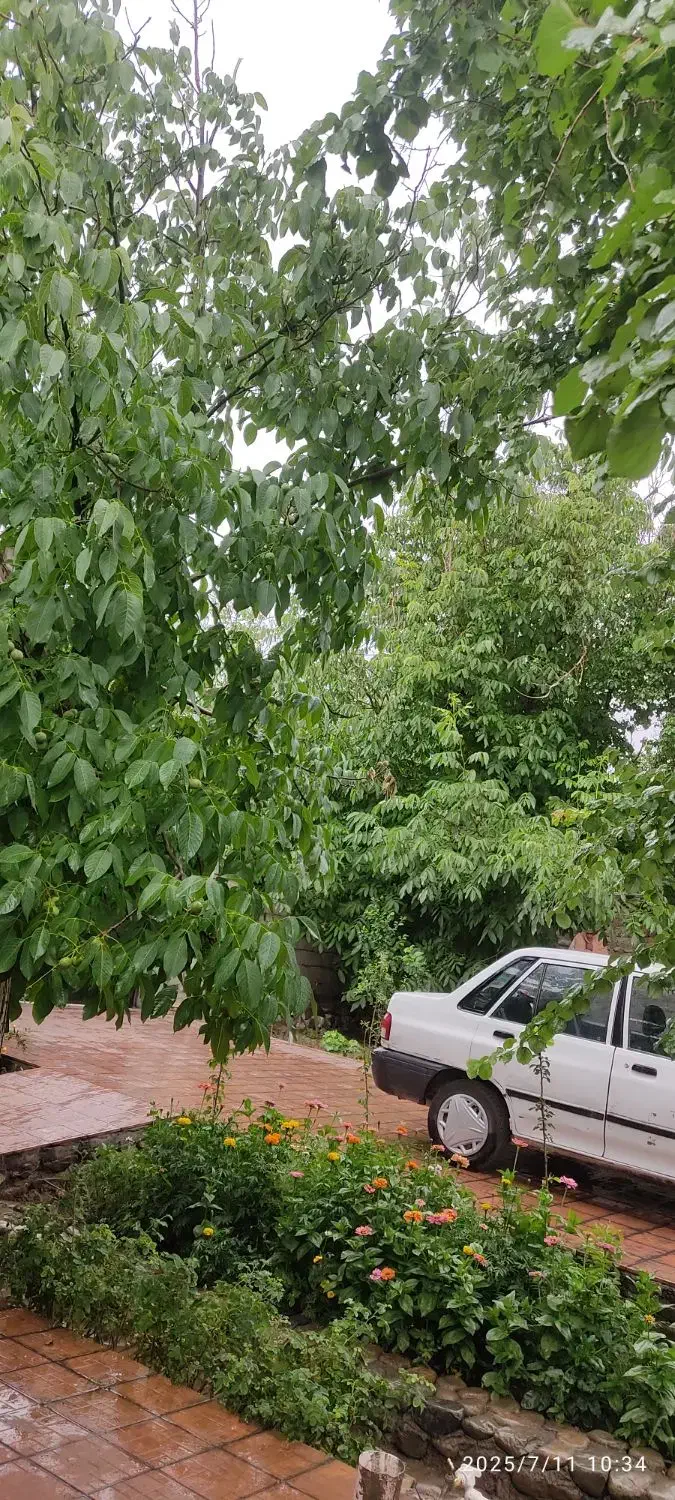 فروش خونه باغ بهترین منطقه خوش آب وهوا|فروش خانه و ویلا|لاله زار, |دیوار