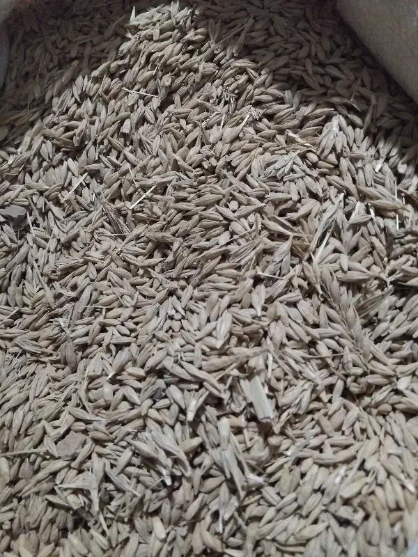 فروش جو|عمده‌فروشی|گرمسار, |دیوار