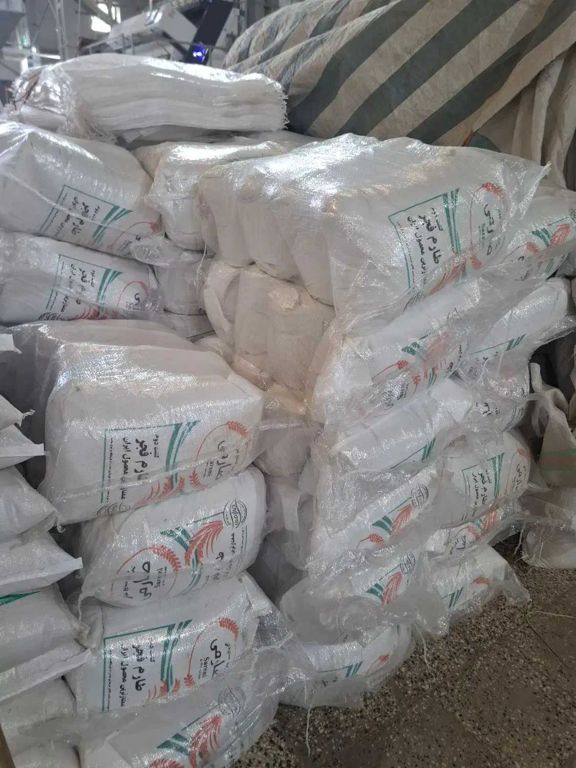 عرضه برنج های ایرانی باچک ۶ ماهه|خوردنی و آشامیدنی|ابهر, |دیوار