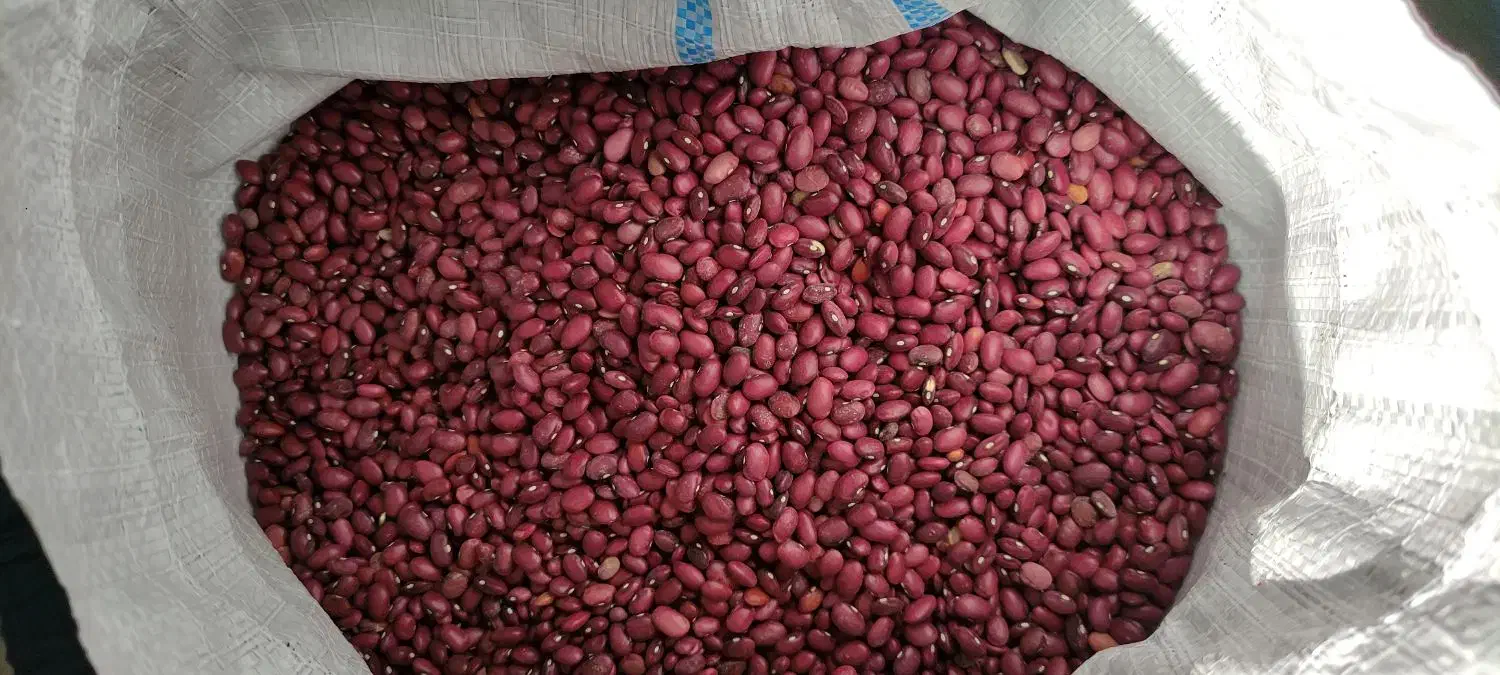 لوبیاقرمز|خوردنی و آشامیدنی|پاسارگاد, |دیوار