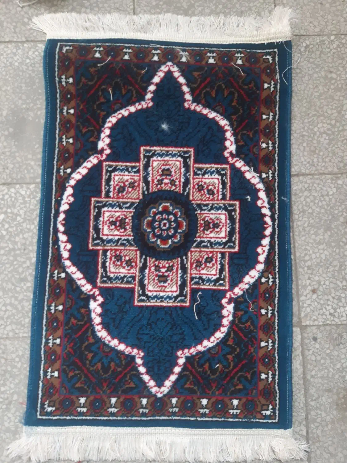 پادری /دم دری/فرشی سبک وسنگین|پادری|کاشان, مزرعه نو|دیوار