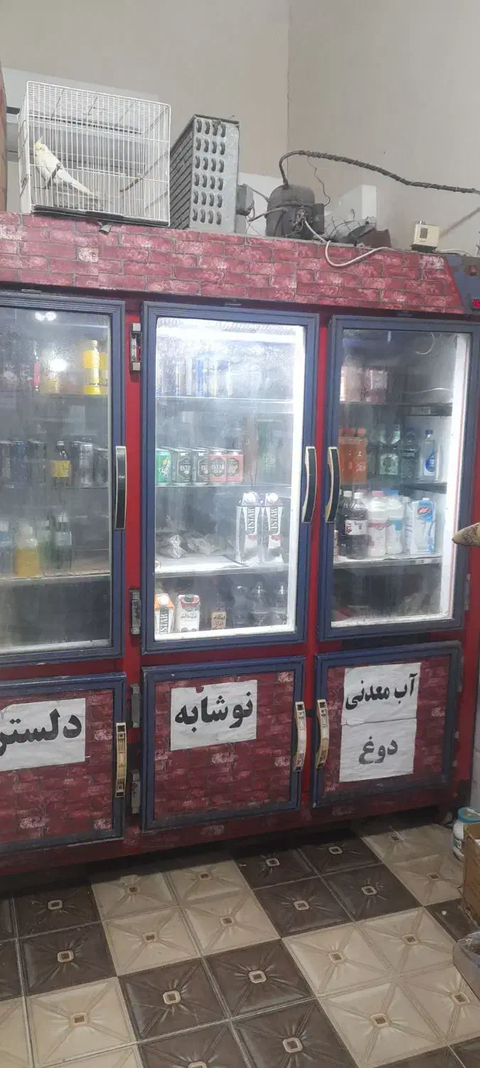 یخچال ویترینی|فروشگاه و مغازه|خوشرودپی, |دیوار