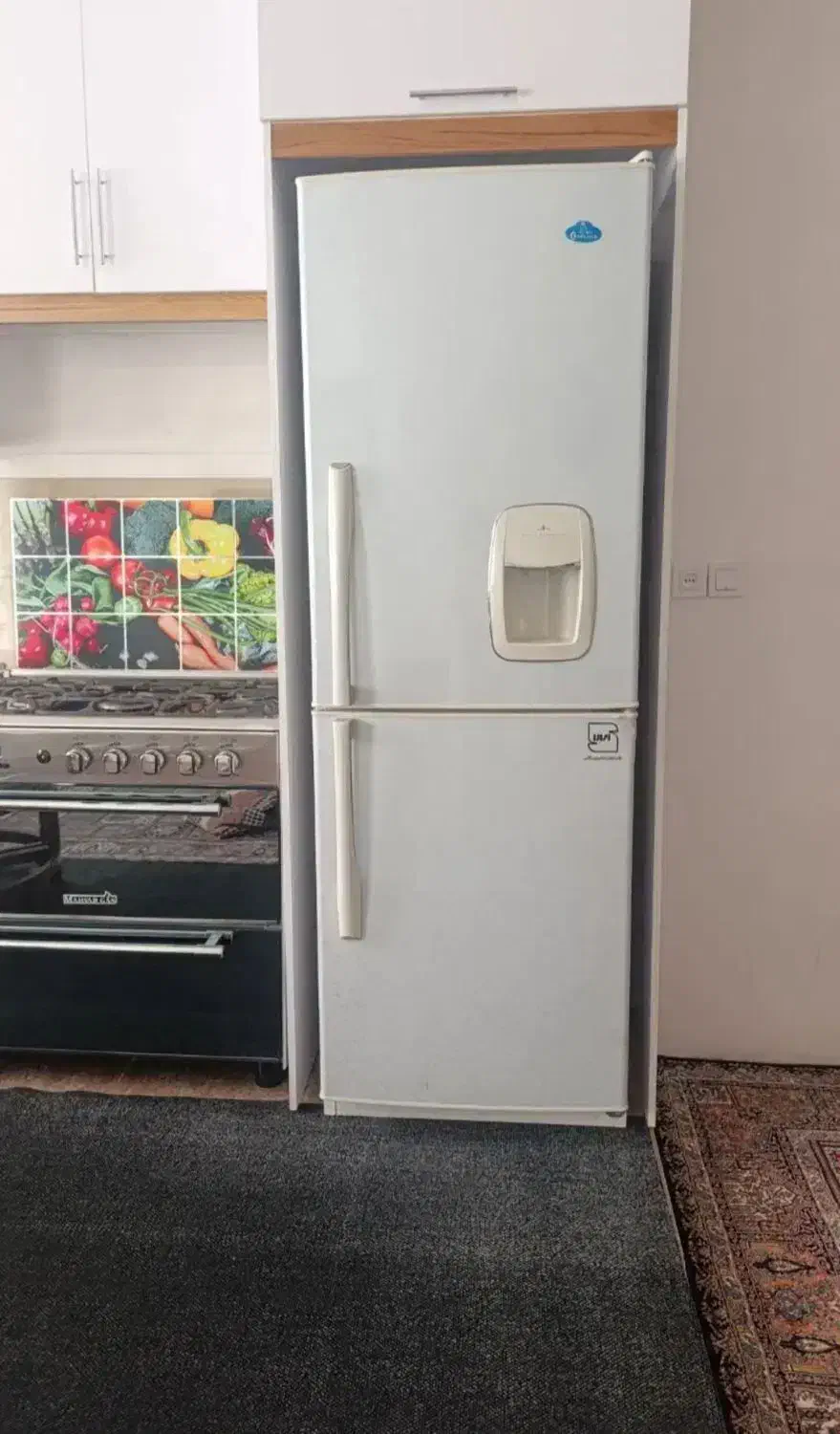 یخچال کارکرده بدون کوچکترین پوسیدگی یا ایراد|یخچال و فریزر|اقبالیه, |دیوار