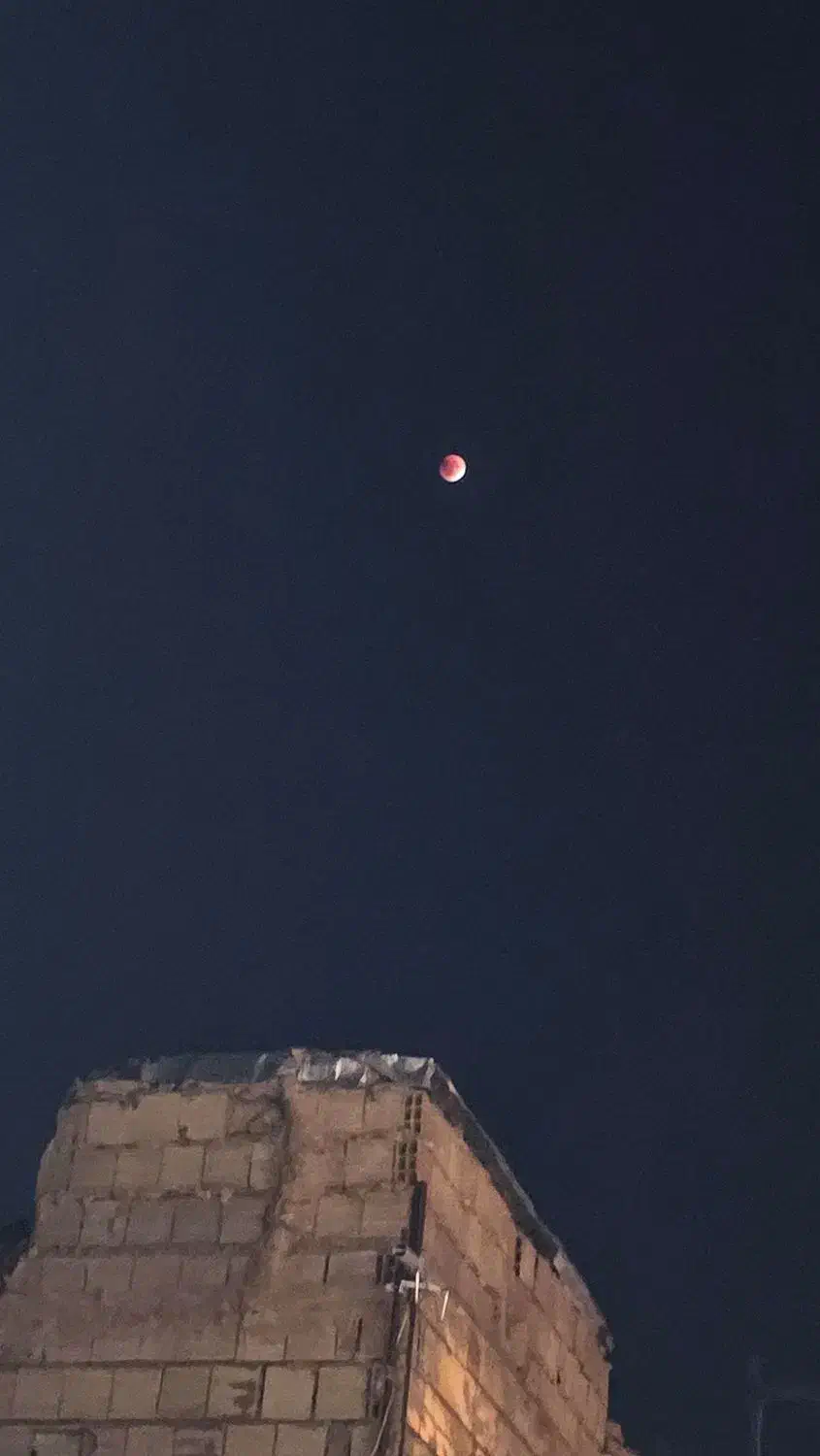 منزل اجاره ای|اجارهٔ خانه و ویلا|تربت جام, شهید غلام زاده|دیوار