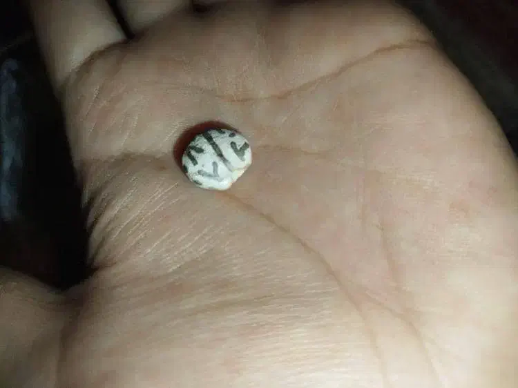 مهره|کلکسیون اشیاء عتیقه|کرمان, |دیوار