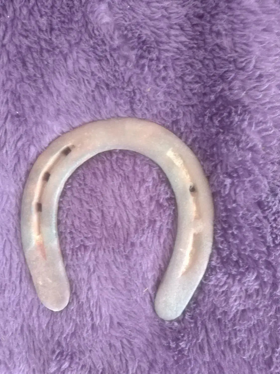 نهل اسب|اسب و تجهیزات اسبسواری|یزد, |دیوار