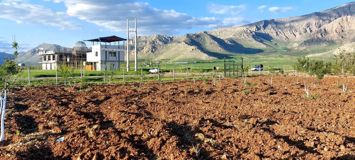 ۲۴۰۰متر زمین سنددار دونبش در ۵۰۰متری شهر روانسر|فروش زمین و ملک کلنگی|روانسر, |دیوار