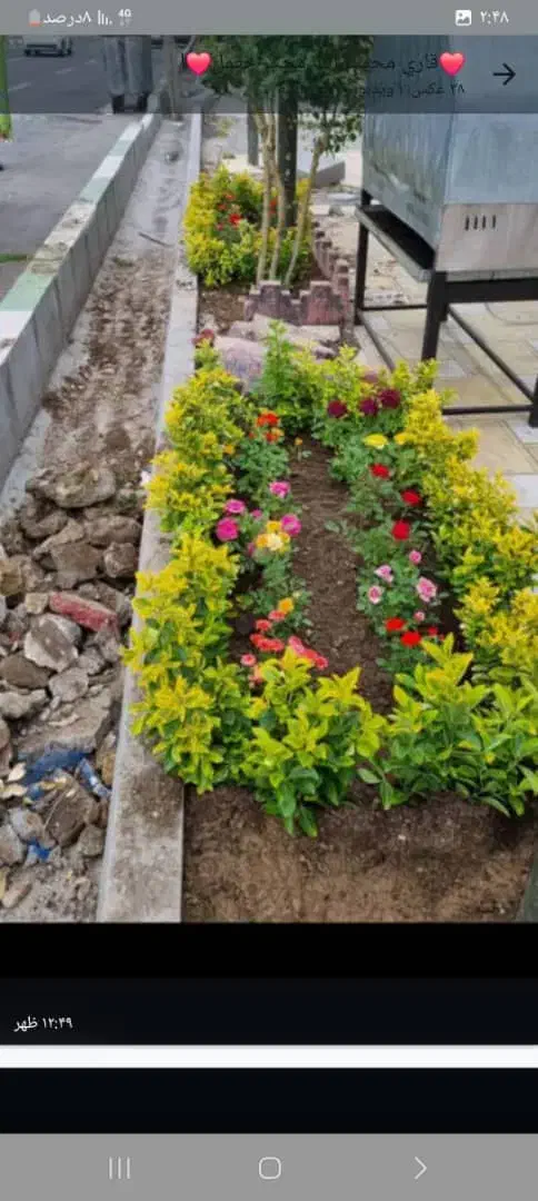 خدمات باغبانی و گلکاری|خدمات باغبانی و درختکاری|تهران, فردوسی|دیوار